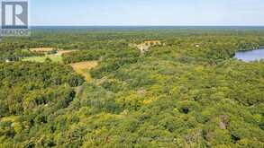 4 MOUNTAIN BASIN DRIVE | McDougall Ontario | Slide Image Four