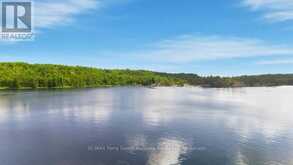 247 BLUE JAY ROAD | French River Ontario | Slide Image Forty-three
