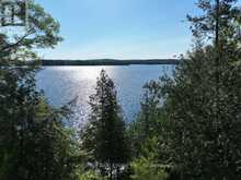 10689 KAWAGAMA LAKE WAO | Lake of Bays Ontario | Slide Image Nineteen