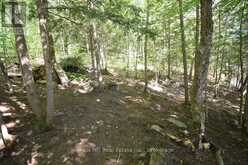 10689 KAWAGAMA LAKE WAO | Lake of Bays Ontario | Slide Image Twenty-four
