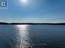 10689 KAWAGAMA LAKE WAO | Lake of Bays Ontario | Slide Image Five