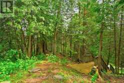 625 CHETWYND ROAD | Magnetawan Ontario | Slide Image Thirty-three