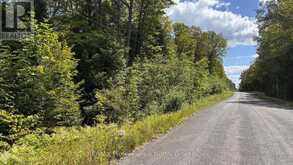0 GLAMOR LAKE ROAD | Highlands East Ontario | Slide Image Four