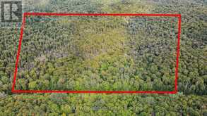 0 GLAMOR LAKE ROAD | Highlands East Ontario | Slide Image Eight