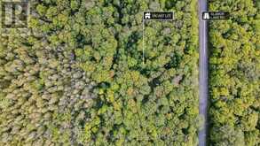 0 GLAMOR LAKE ROAD | Highlands East Ontario | Slide Image Nine