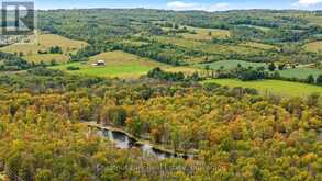 316238 3RD LINE C | The Blue Mountains Ontario | Slide Image Fifty