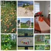 130 CROOKED HILL ROAD | South Bruce Peninsula Ontario | Slide Image Forty-eight