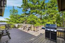 87 ISLAND ISLAND | Pointe au Baril Ontario | Slide Image Nine