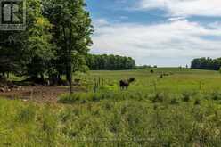 122152 SIDEROAD 12 | Owen Sound Ontario | Slide Image Forty-three