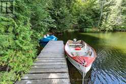 1131 - A WEST CAMP LAKE ROAD | Dwight Ontario | Slide Image Eight