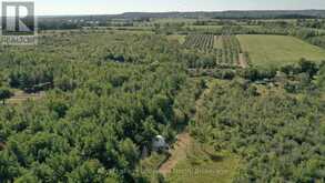 86177 7 SIDE ROAD | Meaford Ontario | Slide Image Eleven