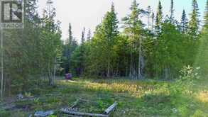 8 DEVILS GLEN | South Bruce Peninsula Ontario | Slide Image Ten
