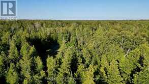 8 DEVILS GLEN | South Bruce Peninsula Ontario | Slide Image Twelve