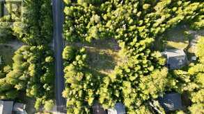 8 DEVILS GLEN | South Bruce Peninsula Ontario | Slide Image Thirteen