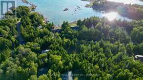 8 DEVILS GLEN | South Bruce Peninsula Ontario | Slide Image Fourteen