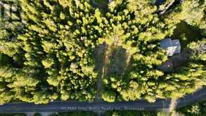 8 DEVILS GLEN | South Bruce Peninsula Ontario | Slide Image Nineteen