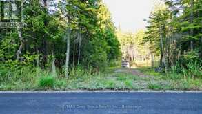 8 DEVILS GLEN | South Bruce Peninsula Ontario | Slide Image One