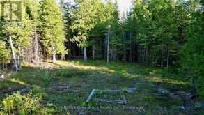 8 DEVILS GLEN | South Bruce Peninsula Ontario | Slide Image Twenty-three