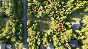 8 DEVILS GLEN | South Bruce Peninsula Ontario | Slide Image Two