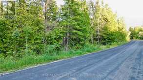 8 DEVILS GLEN | South Bruce Peninsula Ontario | Slide Image Three