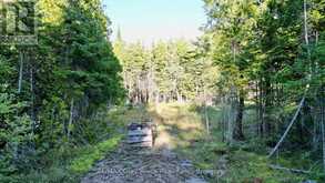 8 DEVILS GLEN | South Bruce Peninsula Ontario | Slide Image Four