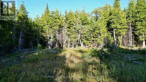 8 DEVILS GLEN | South Bruce Peninsula Ontario | Slide Image Five