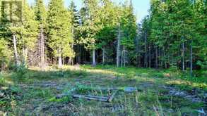 8 DEVILS GLEN | South Bruce Peninsula Ontario | Slide Image Six
