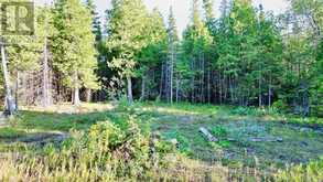 8 DEVILS GLEN | South Bruce Peninsula Ontario | Slide Image Seven