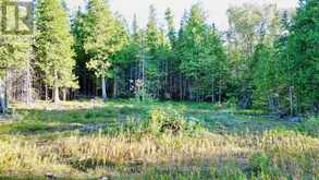 8 DEVILS GLEN | South Bruce Peninsula Ontario | Slide Image Eight