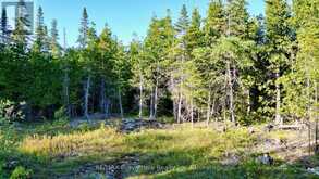 8 DEVILS GLEN | South Bruce Peninsula Ontario | Slide Image Nine