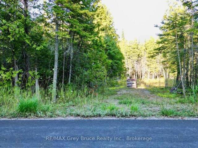 8 DEVILS GLEN South Bruce Peninsula Ontario, N0H 1X0 - Vacant Land For Sale