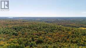 72 MCCAULEY ROAD | Rosseau Ontario | Slide Image Ten