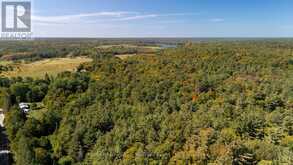 72 MCCAULEY ROAD | Rosseau Ontario | Slide Image Thirteen