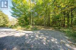 72 MCCAULEY ROAD | Rosseau Ontario | Slide Image Seventeen