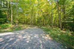 72 MCCAULEY ROAD | Rosseau Ontario | Slide Image Eighteen
