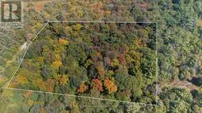 72 MCCAULEY ROAD | Rosseau Ontario | Slide Image One