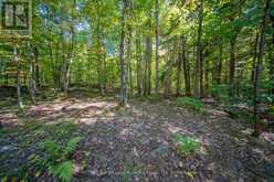 72 MCCAULEY ROAD | Rosseau Ontario | Slide Image Twenty
