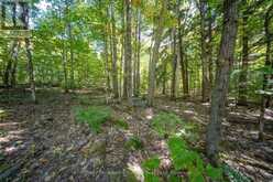 72 MCCAULEY ROAD | Rosseau Ontario | Slide Image Twenty-two