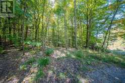 72 MCCAULEY ROAD | Rosseau Ontario | Slide Image Two
