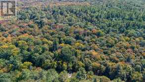 72 MCCAULEY ROAD | Rosseau Ontario | Slide Image Four