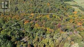 72 MCCAULEY ROAD | Rosseau Ontario | Slide Image Seven