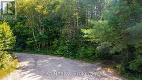 7 MCMULLEN DRIVE | Emsdale Ontario | Slide Image Twenty-six