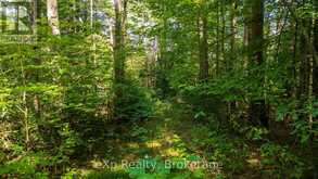 7 MCMULLEN DRIVE | Emsdale Ontario | Slide Image Thirty-one