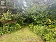1643 AND 1671 EAGLE LAKE ROAD | Machar Ontario | Slide Image Forty