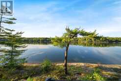 3102 TWELVE MILE BAY ROAD | MacTier Ontario | Slide Image Seventeen