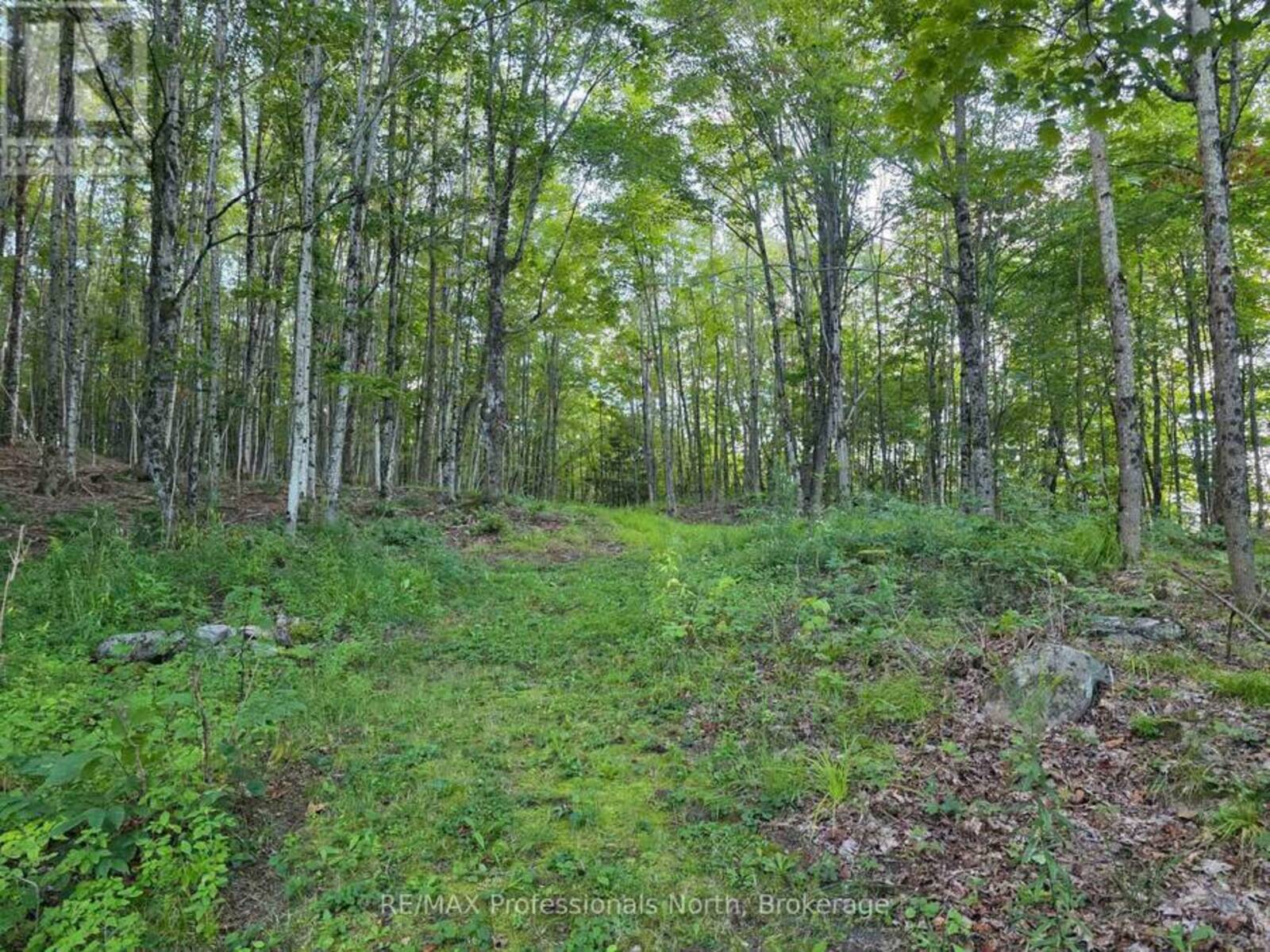 1026 PUFFER ROAD, Minden Hills, Ontario K0M 2K0