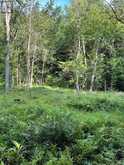 94 CRANE LAKE W/A | The Archipelago Ontario | Slide Image Thirteen