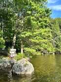 94 CRANE LAKE W/A | The Archipelago Ontario | Slide Image Five