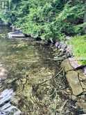 94 CRANE LAKE W/A | The Archipelago Ontario | Slide Image Nine