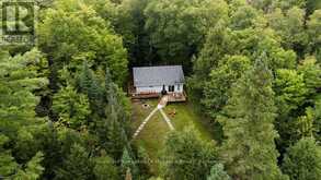 215 SANDWOOD DRIVE | Magnetawan Ontario | Slide Image One